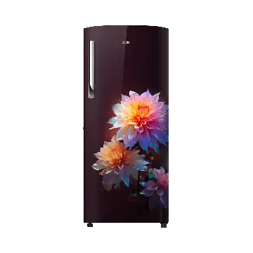 IFB IFBDC-2484FRN