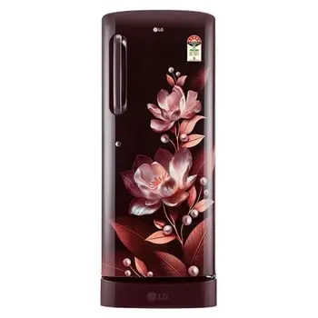 LG GL-D241ASMU