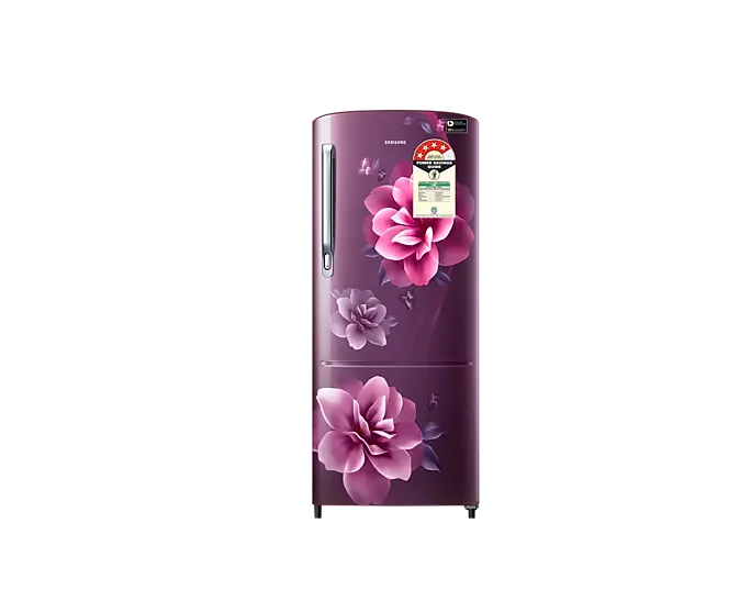 Samsung RR20C1724CR