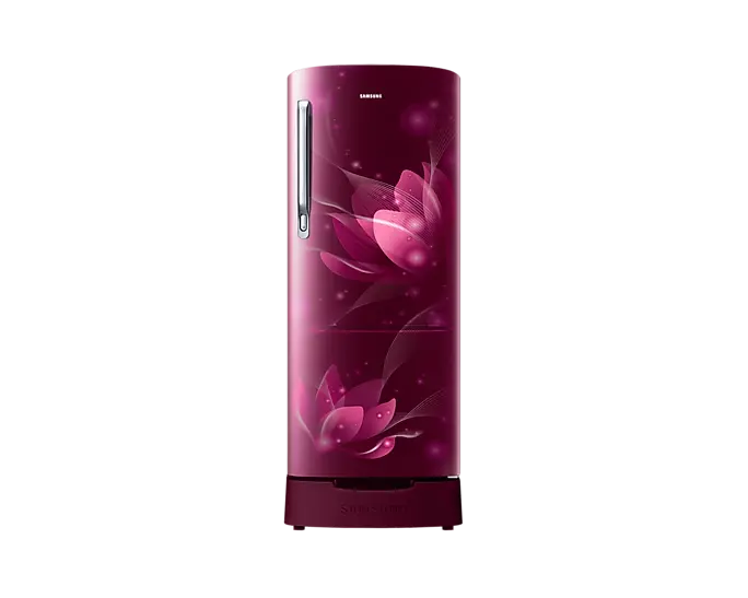 Samsung RR20C1812R8