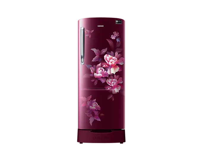 Samsung RR20C1824HN