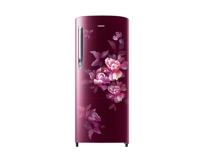 Samsung RR20C2724HN