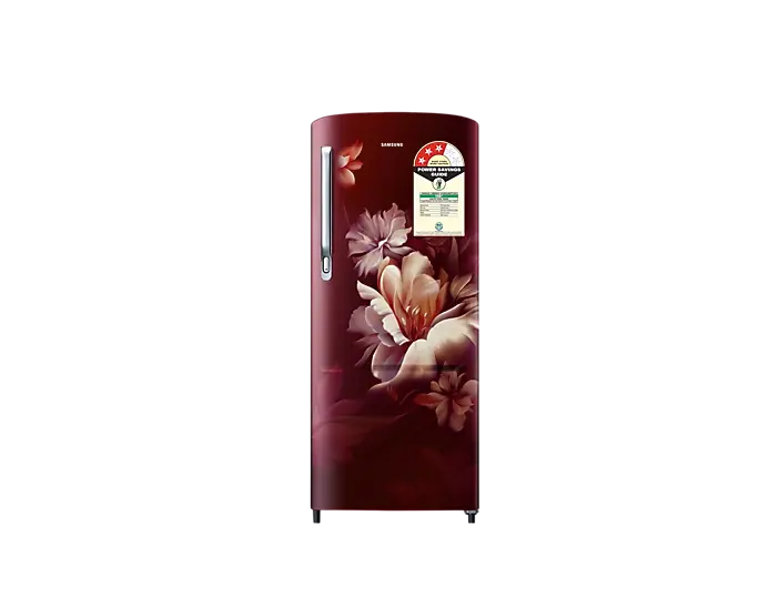 Samsung RR20D1723RZ