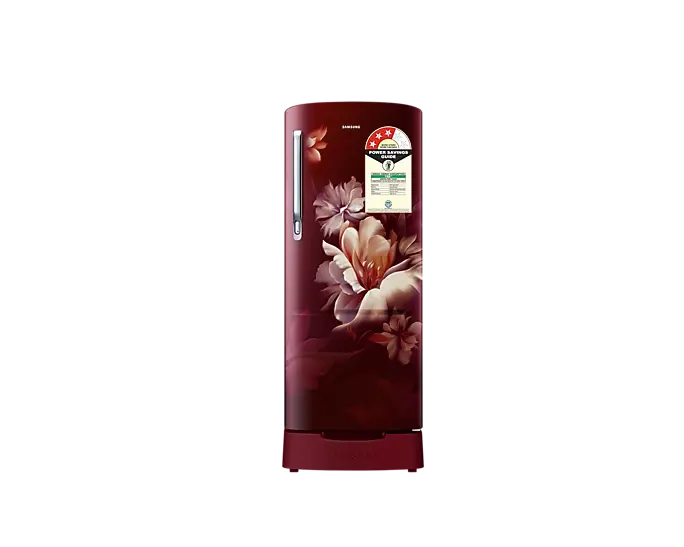 Samsung RR20D1823RZ