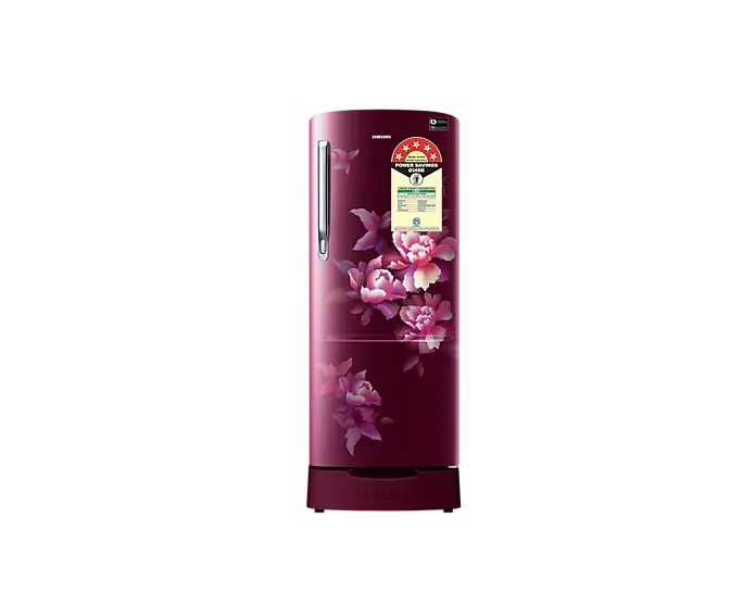 Samsung RR20D2825HN
