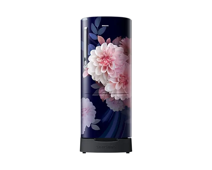 Samsung RR20F2825BB