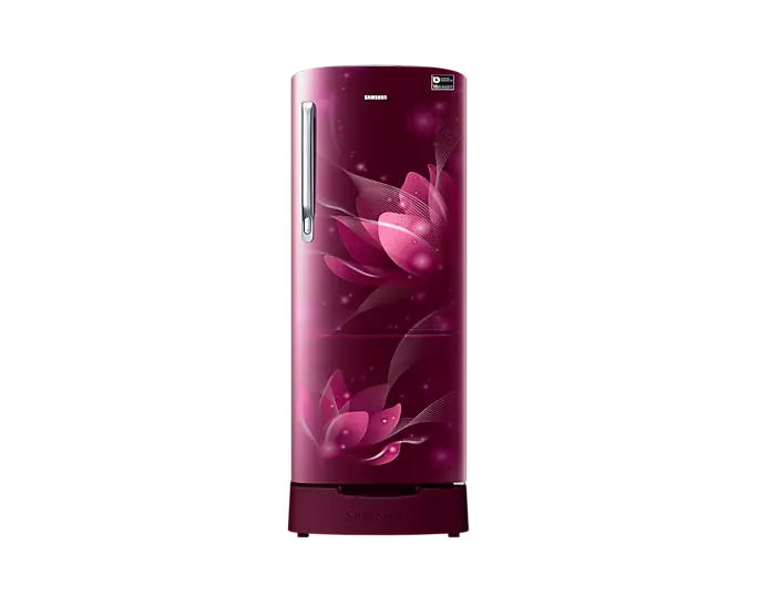 Samsung RR20T182YR8
