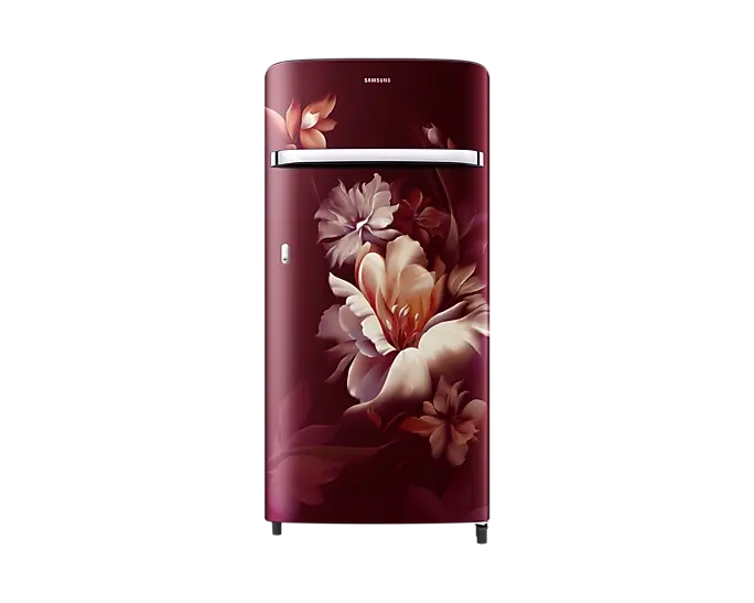 Samsung RR21C2G25RZ