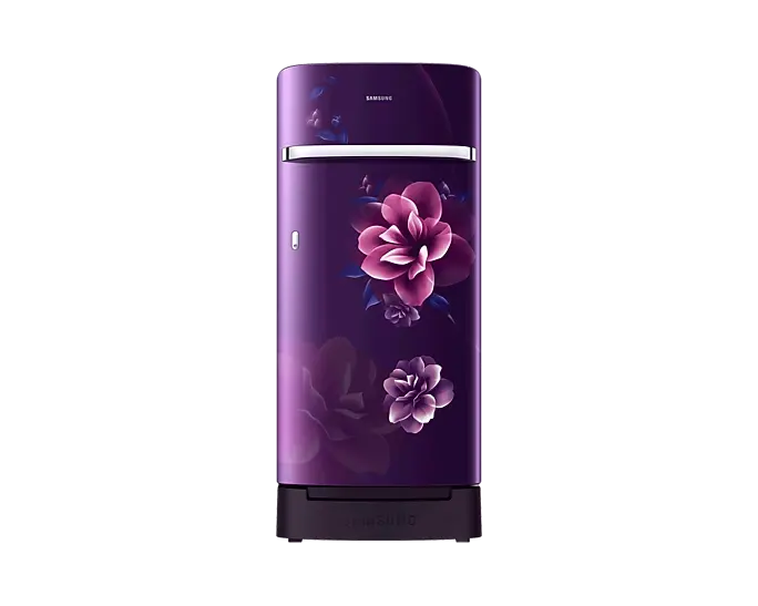 Samsung RR21T2H2WCR