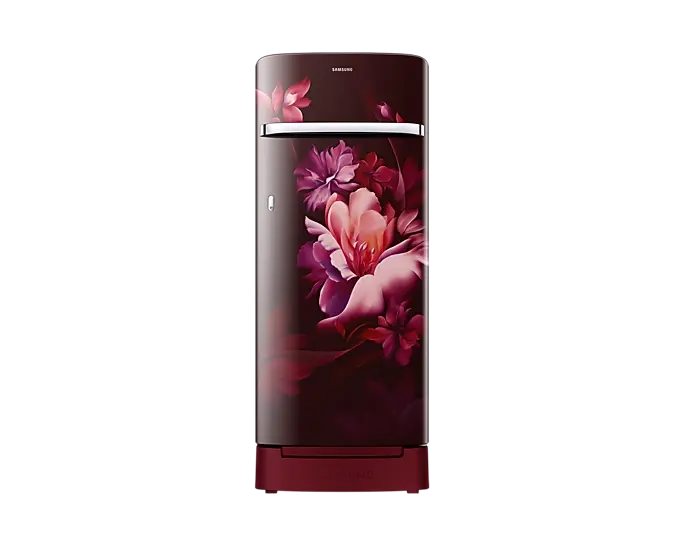 Samsung RR23C2H35RZ