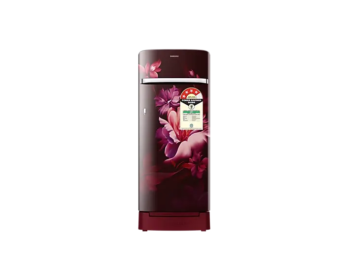 Samsung RR23D2H34RZ