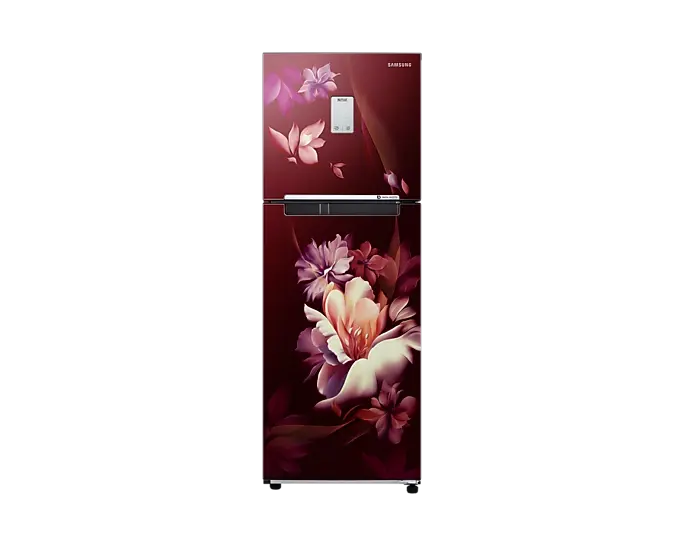 Samsung RT28B3522RZ