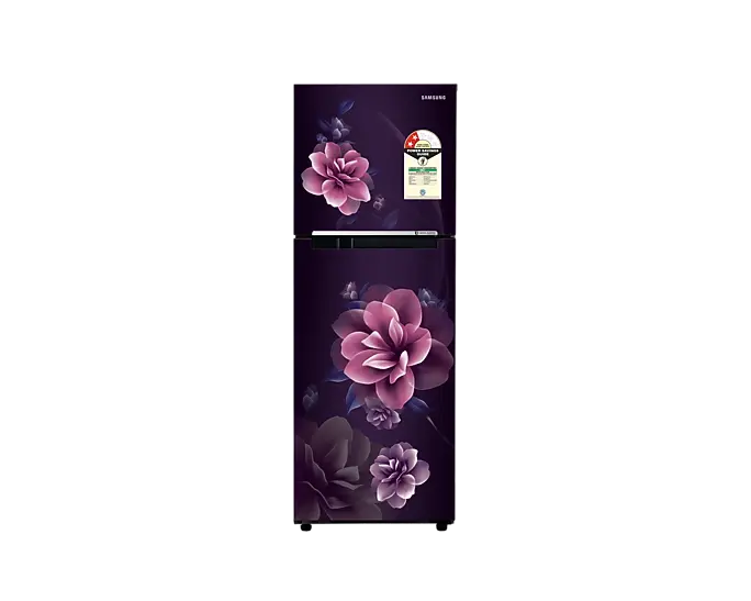 Samsung RT28C3022CR